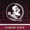 Florida State University Pattern Jersey Google Pixel 7a Clear Case